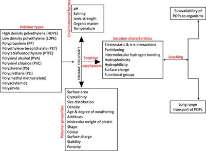 Physisorption and Chemisorption Mechanisms Influencing Micro (Nano) Plastics-Organic Chemical Contaminants Interactions: A Review